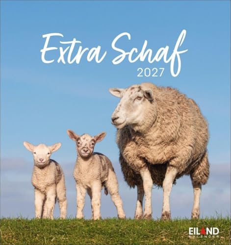Extra Schaf Postkartenkalender 2027: Ein kleiner Kalender zum Aufstellen und Aufhängen. Süße Schafe in allen Lebenslagen in einem Postkarten-Fotokalender.