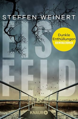 Eisfeld – Dunkle Enthüllungen: Kriminalroman (Mara Eisfeld ermittelt, Band 2)