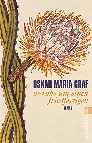 Unruhe um einen Friedfertigen: Roman | Das Buch zum Film 