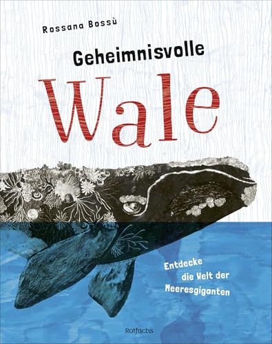 Geheimnisvolle Wale – Entdecke die Welt der Meeresgiganten: Beeindruckendes Sachbuch über die Riesen der Meere für kleine und große Fans ab 9 Jahren