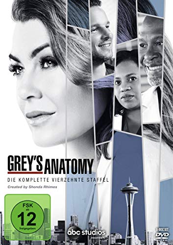 Grey's Anatomy - Die komplette vierzehnte Staffel [6 DVDs]