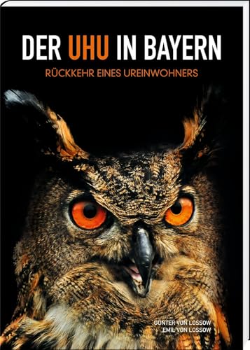 Der Uhu in Bayern: Rückkehr eines Ureinwohners